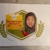 معجنات دجاج وخضرا 750 غرام